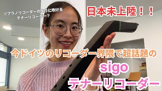 全世界の音楽教師にススメたい!日本未上陸のSigoテナーリコーダーをレビューしてみた