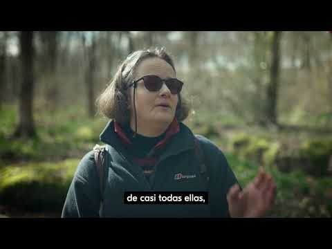 'El círculo de los días' de Ken Follett: adelantamos el comienzo de su nueva novela inspirada en Stonehenge