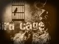Pete Doherty - Bird Cage (Solo Version) 