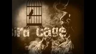 Pete Doherty - Bird Cage (Solo Version)