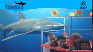 DIA 3 Expo Tiburon42