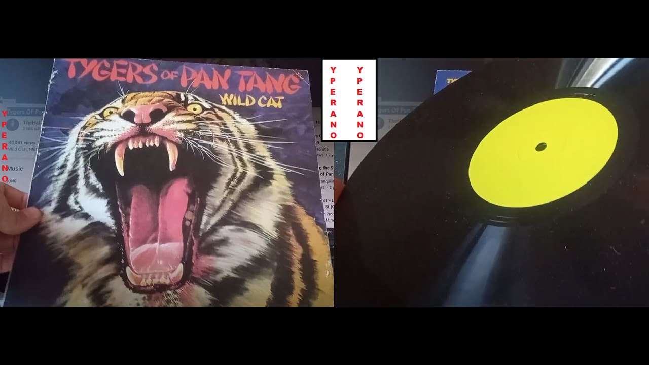 for sale TYGERS OF PAN TANG: Wild Cats LP test pressing ULTRA RARE NWOBHM (FA 3063) mint vinyl (?)