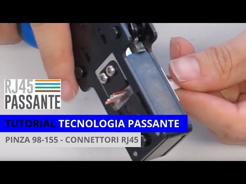 Guarda il video