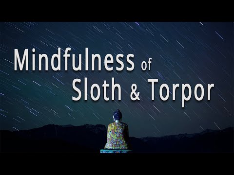 Mindfulness of Sloth & Torpor (#17 The Four Establishments of Mindfulness) by Joseph Goldstein
