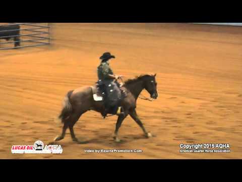 JACKS LITTLE STEP ridden by TIFFANY M MONTGOMERY  - 2015 AQHA World Show (Prelims - Sr Ranch Riding)