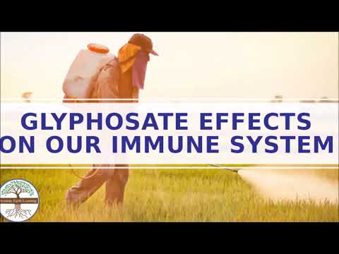 Glyphosate Damages the Immune System