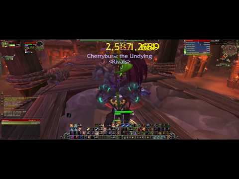 BM Hunter and Assassination Rogue 2v2 Arena BFA