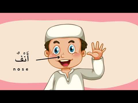 Let's learn the name of your body parts in Arabic! 🌈 Fun Learning Adventure for Little Explorers!