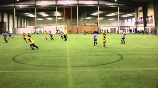 preview picture of video 'U8 COED D2 - Murrysville Panthers vs. MSC United'