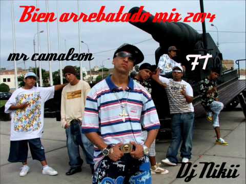 BIEN ARREBATAO MIX 2014 - DJ NIKII FT MR CAMALEON