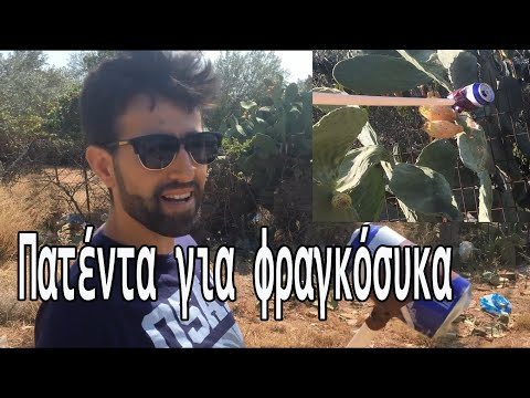 , title : 'Πως κόβουμε φραγκόσυκα πατέντα | how to cut prickly pears'