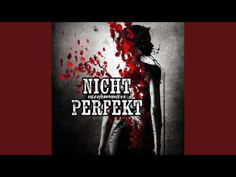 Nicht Perfekt