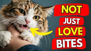 If Your Cat BITES You, They Are Trying To Tell You THIS! | Meow Flix