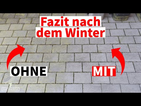 Steinimprägnierung - Unser Fazit nach dem Winter! Kein Grünbelag mehr auf unserem Pflaster?