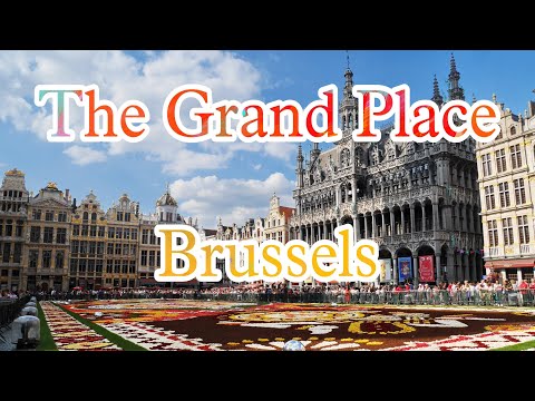Full Travel Guide for Grand Place Brussels | Top Things to Do, See & Eat in Belgium's Iconic Square
