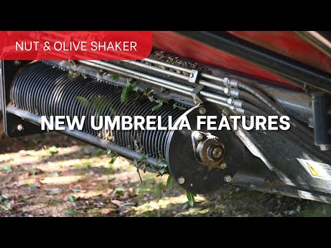 Arcusin Nut & Olive Shaker: Top New Features! | AutoPick GTi