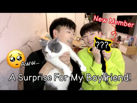 Welcoming A New Member Of Our Family!! Aww... | 歡迎新的家庭成員：糰子！[Gay Couple Lucas&Kibo BL]