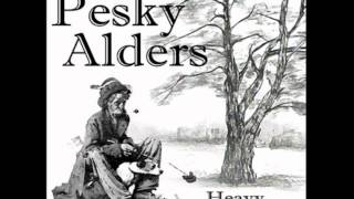 The Pesky Alders - Railroad Bill