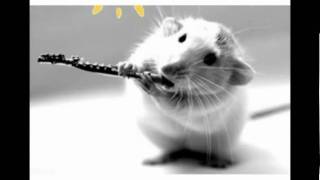 "Ben" sung by Jon Stevens