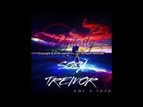 DJ DYNASTY SOCA TREMOR VOL 3