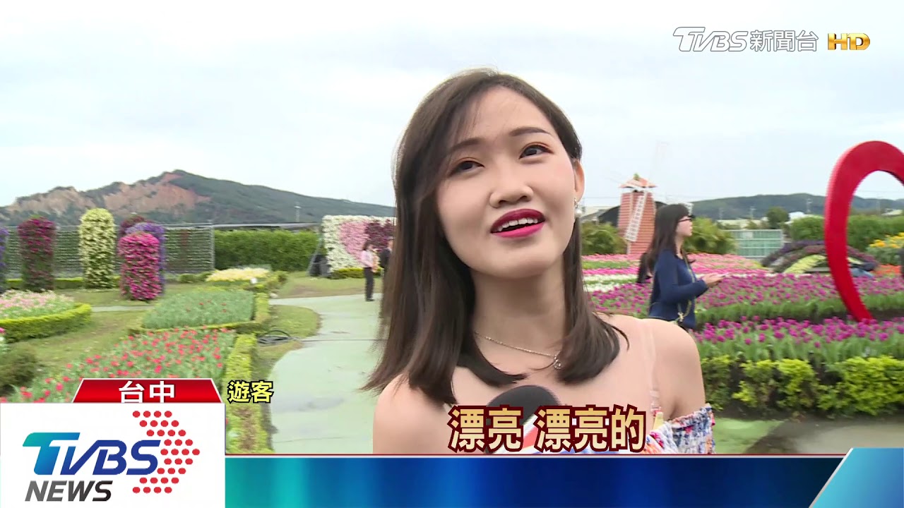 中社繽紛花海 30萬株鬱金香輪番綻放