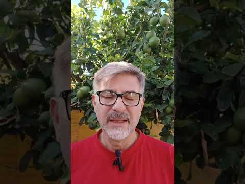 Evangelio del Nuestro Señor Jesucristo Con el Padre Fabian Esteban Oliva.  20/12/25