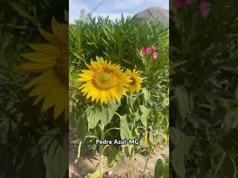 Pedra Azul-MG #pedraazul #kombihome #montanha #paissagem
