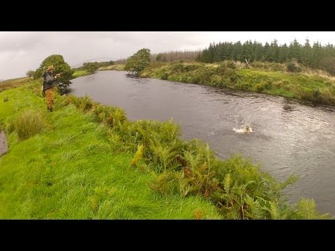 Noch 'ne Lachsgeschichte vom Owenea, Co. Donegal, Irland