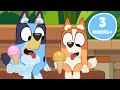 LIVE 3 HORAS De Fantásticas Aventuras Bluey Bluey Português Brasil Canal Oficial