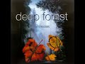 Deep Forest-Katharina