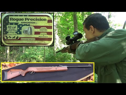 Shooting A 1 Inch Board With .30 Caliber Slugs (Hatsan 135, Rogue Precision 50 gr. Slugs)