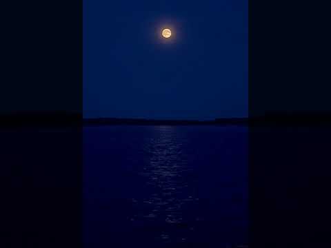 WHITE WHALE feat. PLAYINGTHEANGEL, RAY-D (slowed + reverb) ❤ samovlubleniy.