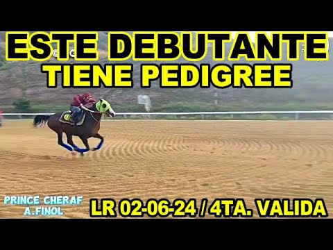 ESTE HIJO DE KING SERAF EN INDELIBLE ROUGE POR WOODMAN , DEBUTARA EN LA 4TA. VALIDA / LR 02.06.24