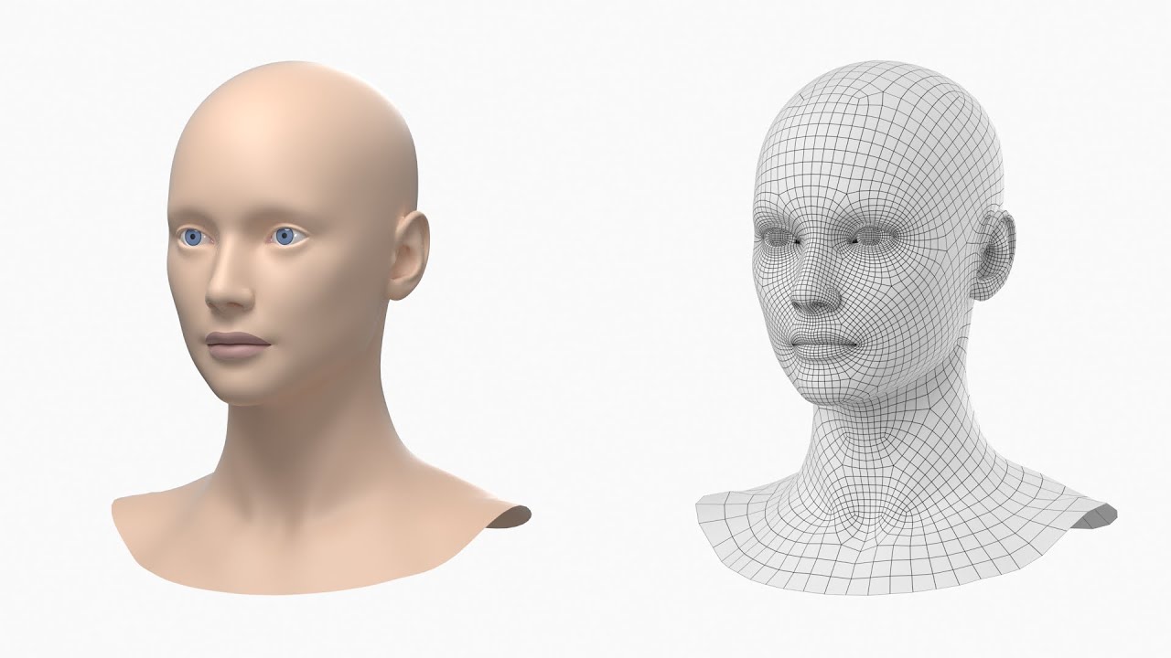 Natural Female Head 01 Base Mesh 3D Model