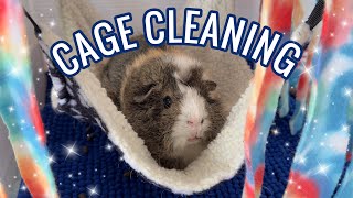 Guinea Pig Cage Cleaning 🐹🧼