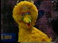 Sesame Street Big Bird Has The Birdy Pox