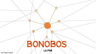 La Por - Animalànima - Bonobos