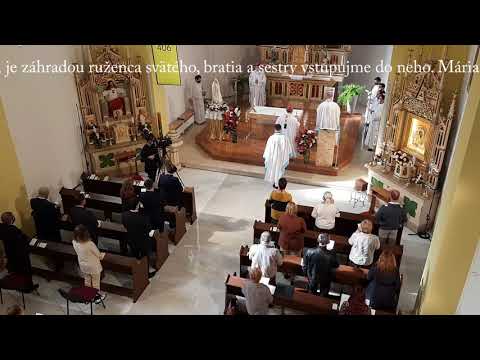 JKS 406 - Vykvitla ruža (podľa šarišskej pôvodiny z 19. storočia)