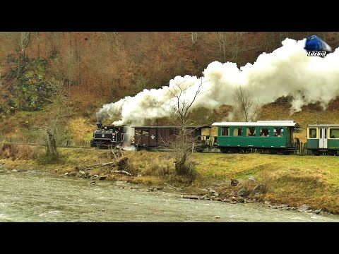 🚂Whistle Concert de Fluiere By COZIA 1 Dampflok/Steam Locomotive pe Valea Vaserului/on Vaser Valley