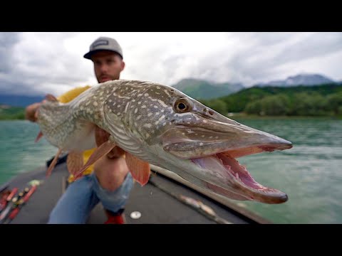 Pesca ai GROSSI LUCCI del Lago di Santa Croce - Pike Fishing Monsters