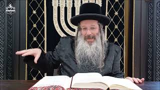 הרה"ג ר' שמעון שנייבלג שליט”א | דבר חינוך אקטואלי מהפרשה | פרשת בלק | עברית