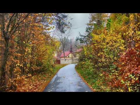 Pustelnia 03.11.2019 - Koronka (6)