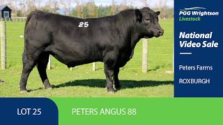 PGG Wrightson Livestock National Video Sale 14th May 2018