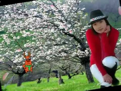 Thể hiện bởi Vũ Hà