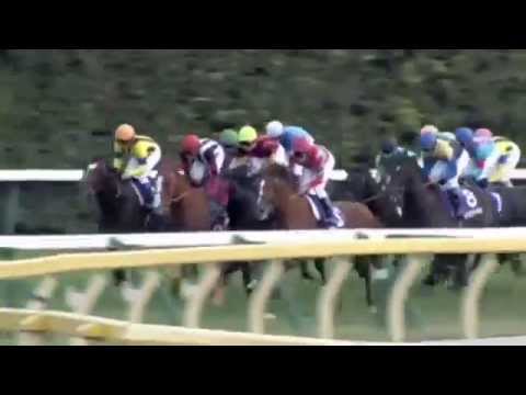 2015.11.01 Tenno Sho (Autumn) (JPN) - Lovely Day