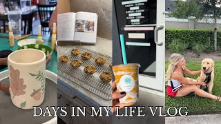 VLOG: pottery painting, puppy date, pumpkin chocolate chip cookies, grilling out & sculpt class 