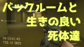 バックルームの世界に迷い込んでしまいました[死寂DeathlyStillness]