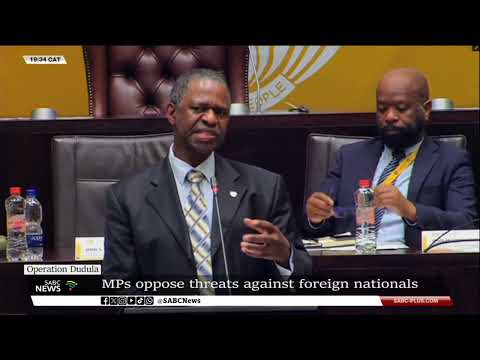 Operation Dudula | MPs oppose threat on foreign nationals