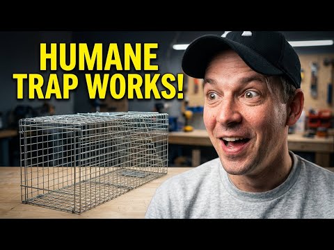 EASY TO USE!!!  full Review of Animal Trap | Link in Description 👇