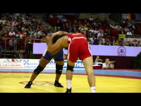 2013 Budapest World Freestyle Wrestling Championship 84kg